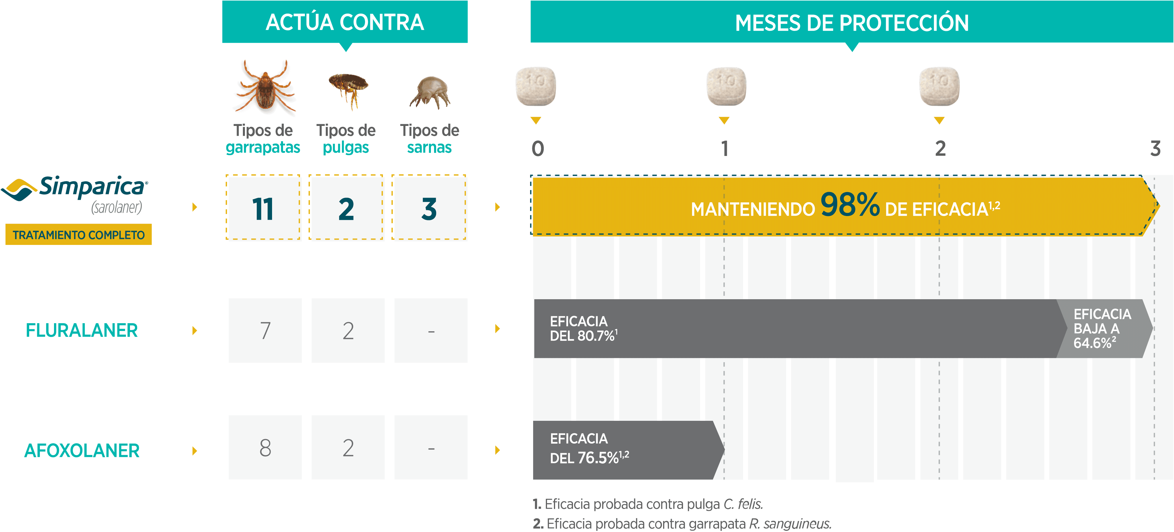 Blog 4 cuantas pulgas
