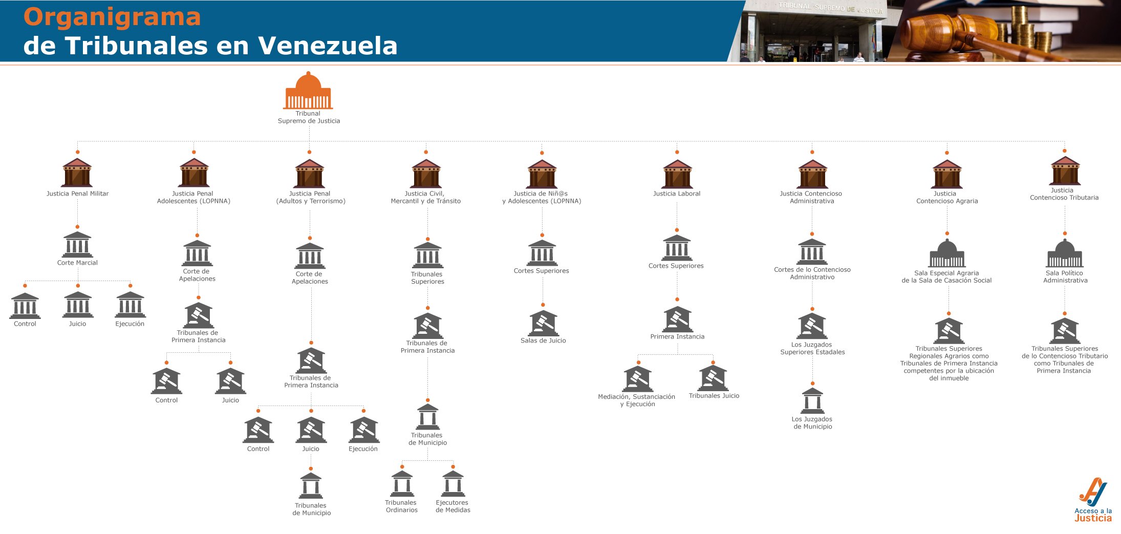 Blog 6 cuantas ramas del derecho hay