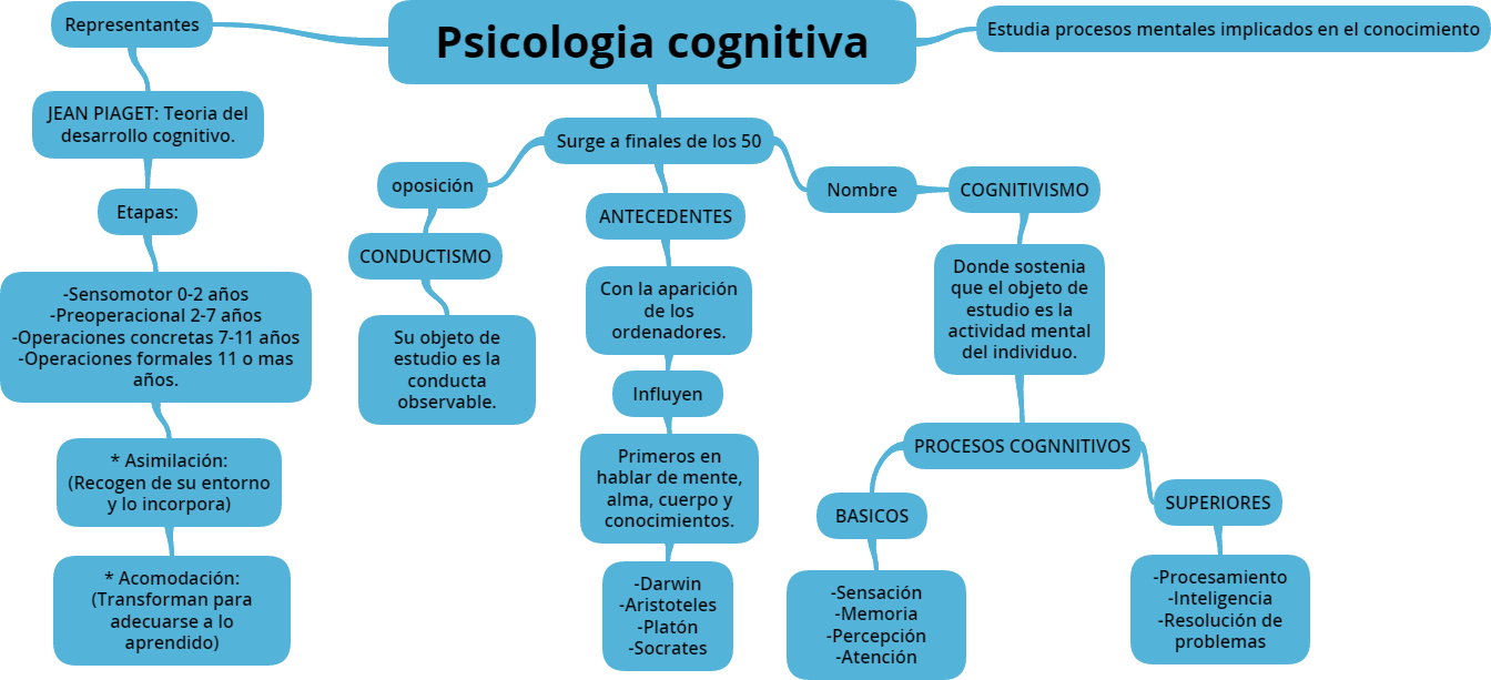 Blog 10 cuantas ramas tiene la psicologia