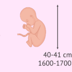cuantas-semanas-tiene-septiembre-2022