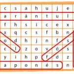 cuantas-silabas-tiene-oso