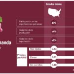 ¿Cuántas uvas trae un kilo? cuantas-uvas-trae-un-kilo