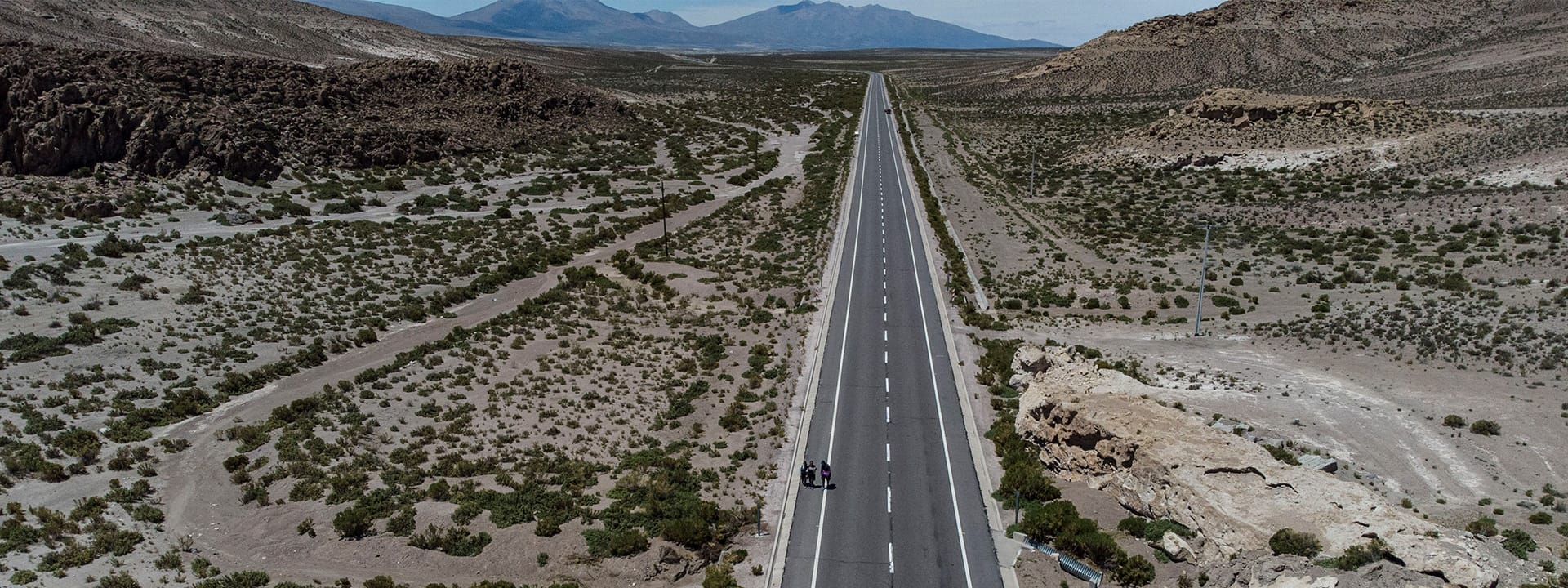 cuantas venas tiene un chile