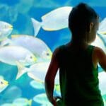 cuanto-cobra-el-acuario-inbursa