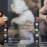 cuanto-cobra-un-quiropractico