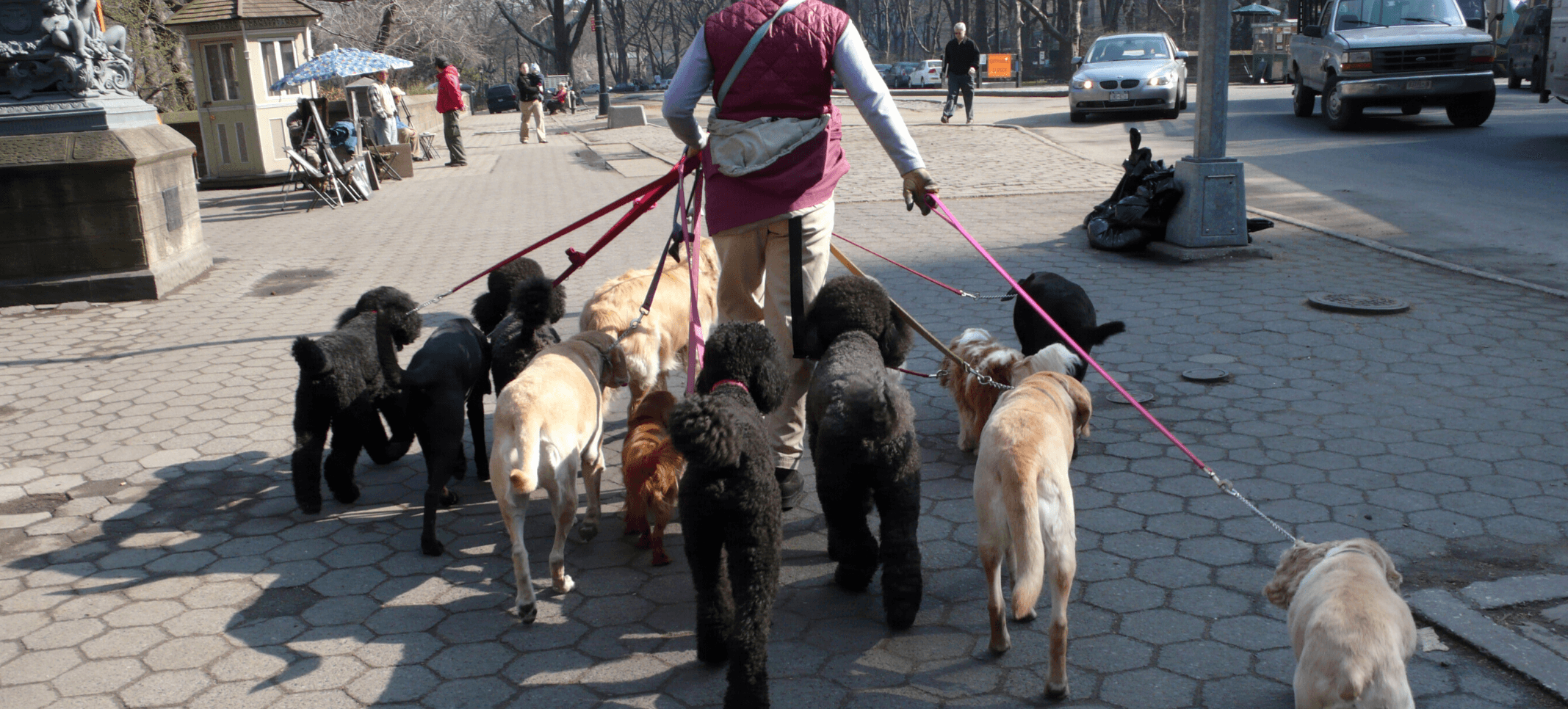 Blog 4 cuanto cobran por pasear perros