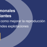 cuanto-come-una-oveja-estabulada