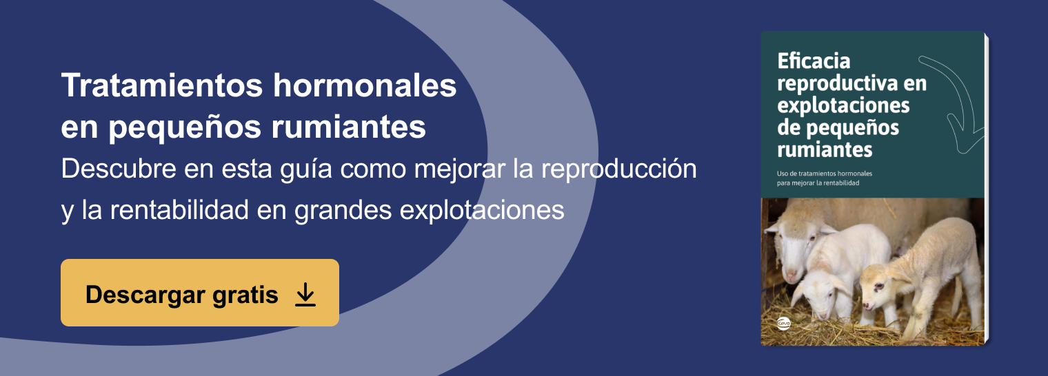 Blog 8 cuanto come una oveja estabulada