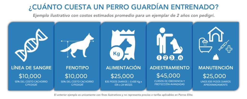 cuanto cuesta adiestrar un perro