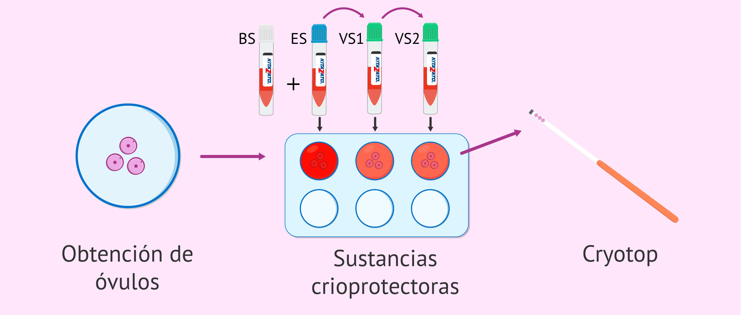 cuanto cuesta congelar ovulos