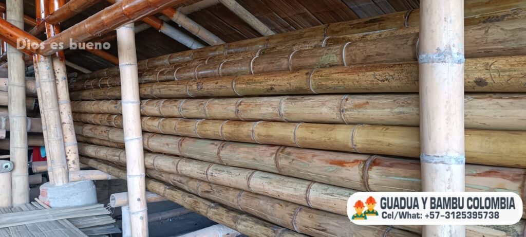 cuanto cuesta el bambu