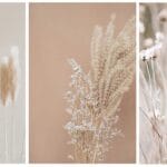 cuanto-cuesta-el-pampas