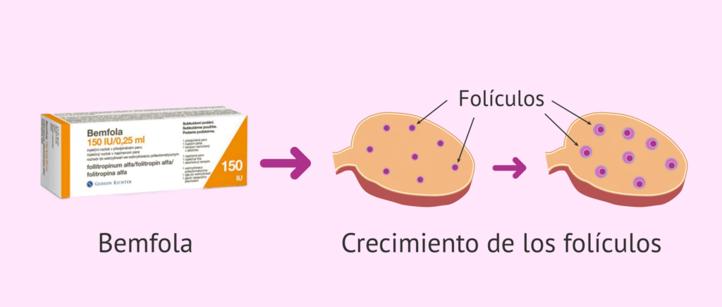 cuanto cuesta el salbutamol