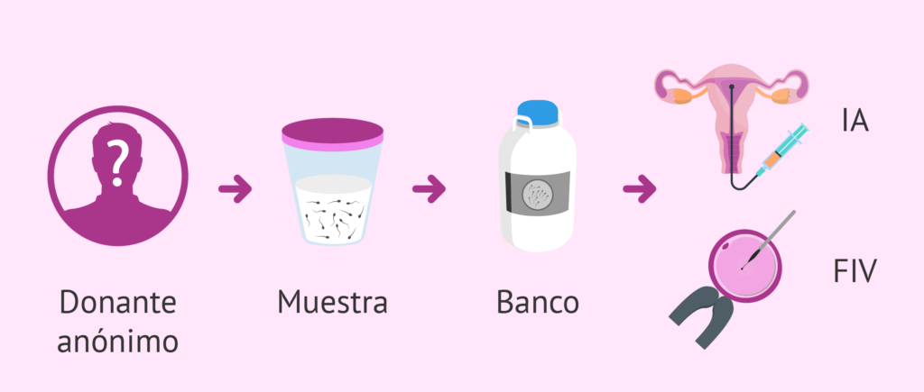 cuanto cuesta el semen