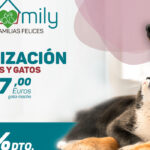 ¿Cuánto cuesta esterilizar un perro? cuanto-cuesta-esterilizar-un-perro