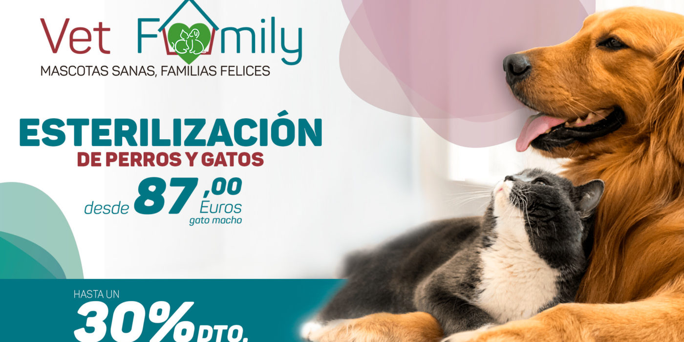 cuanto cuesta esterilizar un perro
