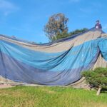 ¿Cuánto cuesta fumigar una casa? cuanto-cuesta-fumigar-una-casa