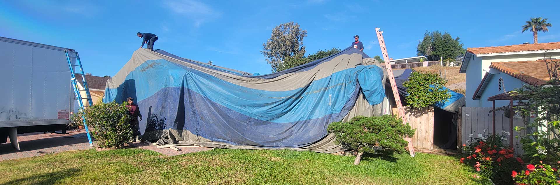 cuanto cuesta fumigar una casa
