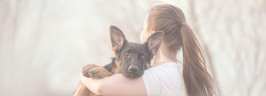 ¿Cuánto cuesta incinerar un perro? 2 cuanto cuesta incinerar un perro