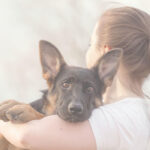 ¿Cuánto cuesta incinerar un perro? cuanto-cuesta-incinerar-un-perro