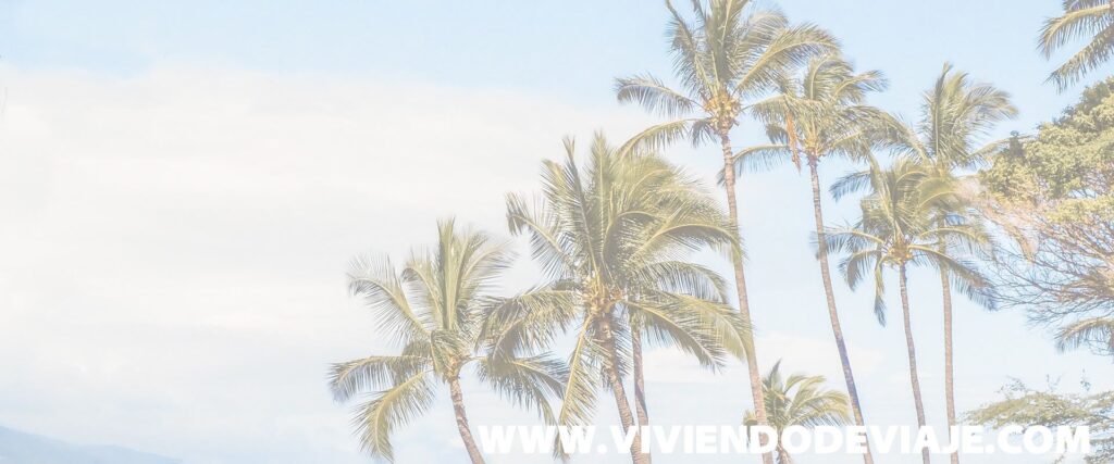 cuanto cuesta ir a hawai