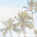 ¿Cuánto cuesta ir a Hawái? cuanto-cuesta-ir-a-hawai