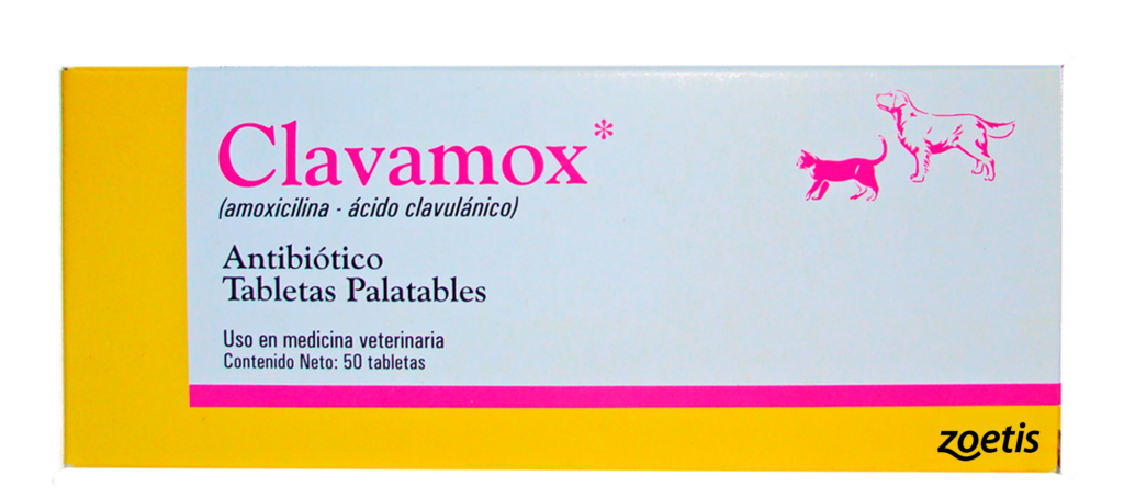 cuanto cuesta la amoxicilina