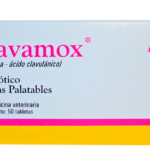 cuanto-cuesta-la-amoxicilina