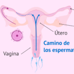 cuanto-cuesta-la-fenazopiridina