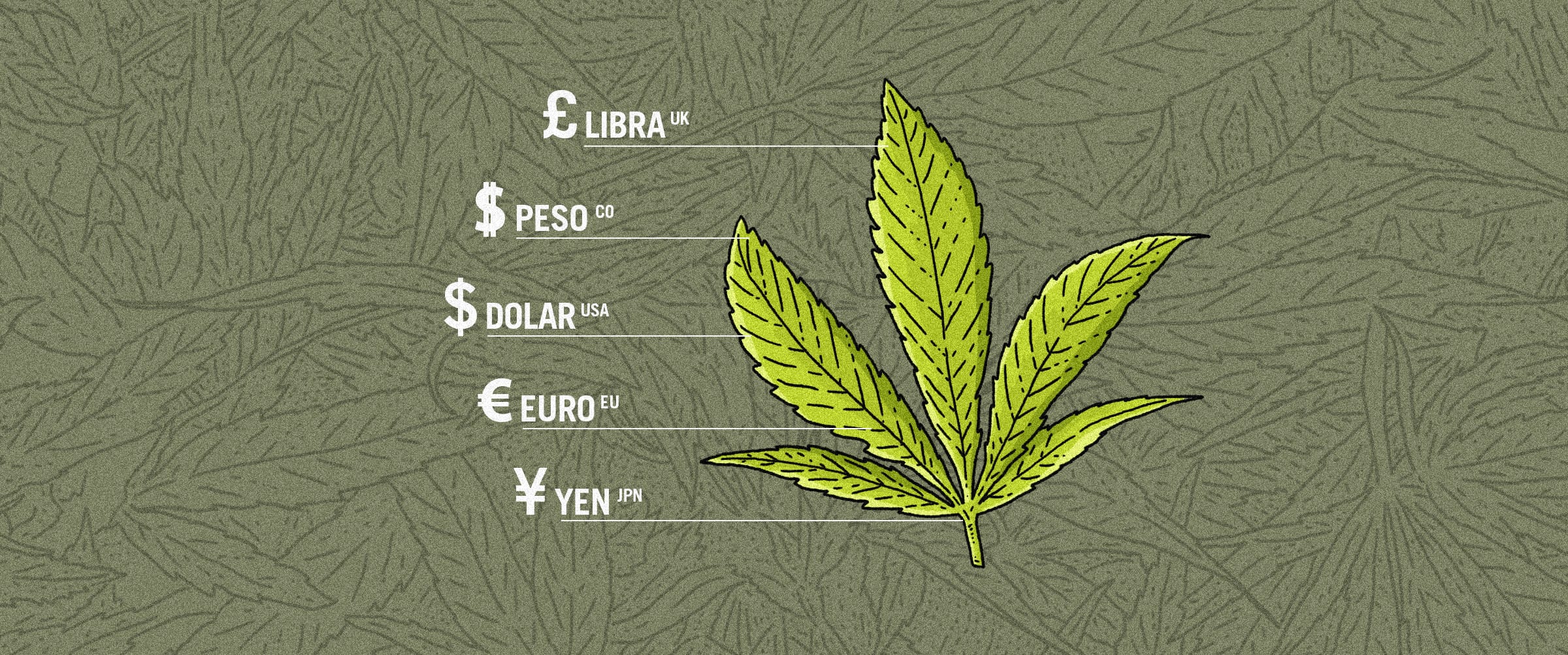 cuanto cuesta la mota