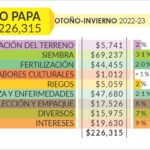 ¿Cuánto cuesta la papa? cuanto-cuesta-la-papa