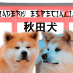 cuanto-cuesta-un-akita