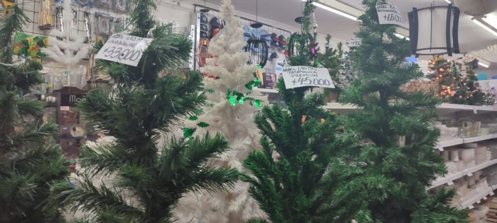 cuanto cuesta un arbol