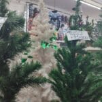 cuanto-cuesta-un-arbol