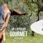 ¿Cuánto cuesta un cabrito? cuanto-cuesta-un-cabrito
