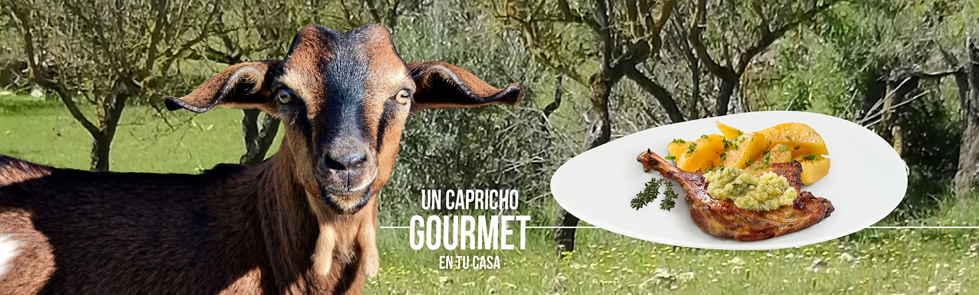 cuanto cuesta un cabrito