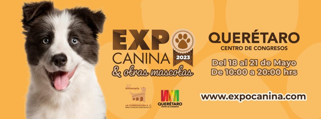 cuanto cuesta un caupoh