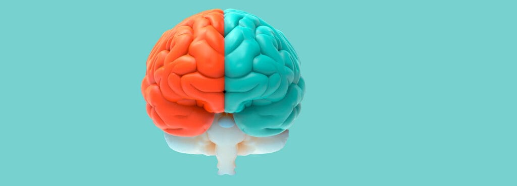 cuanto cuesta un cerebro