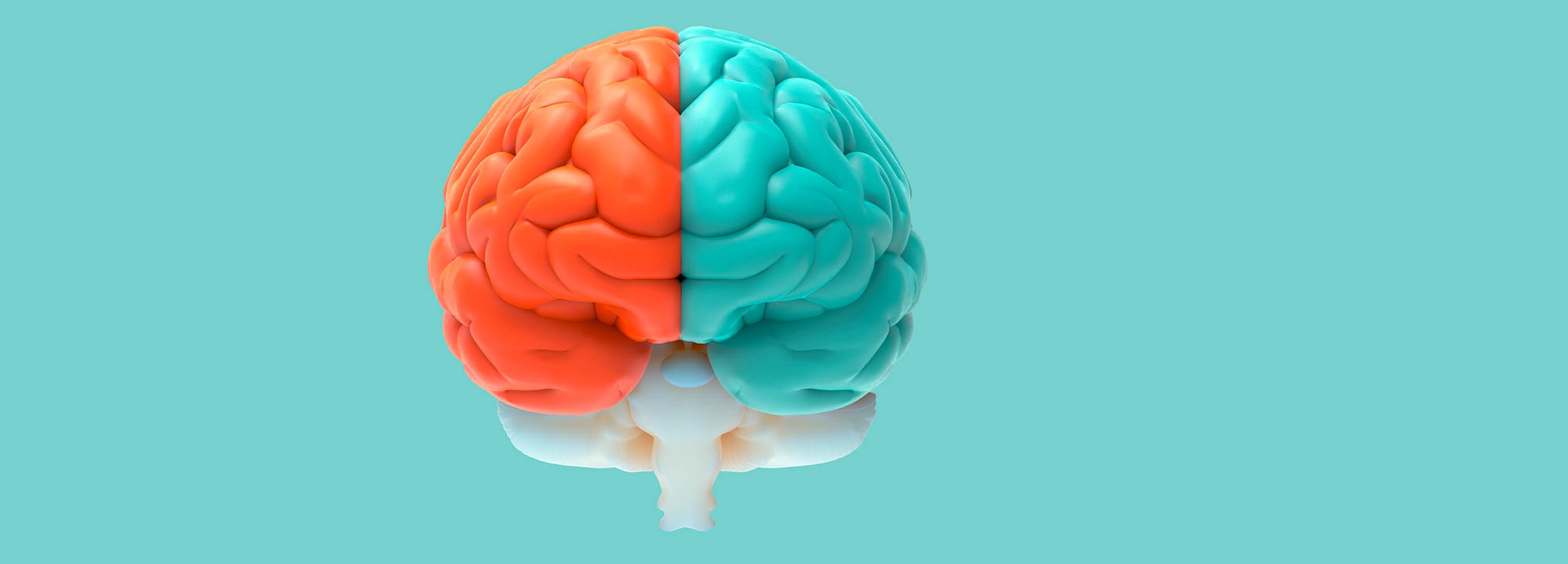 Blog 6 cuanto cuesta un cerebro