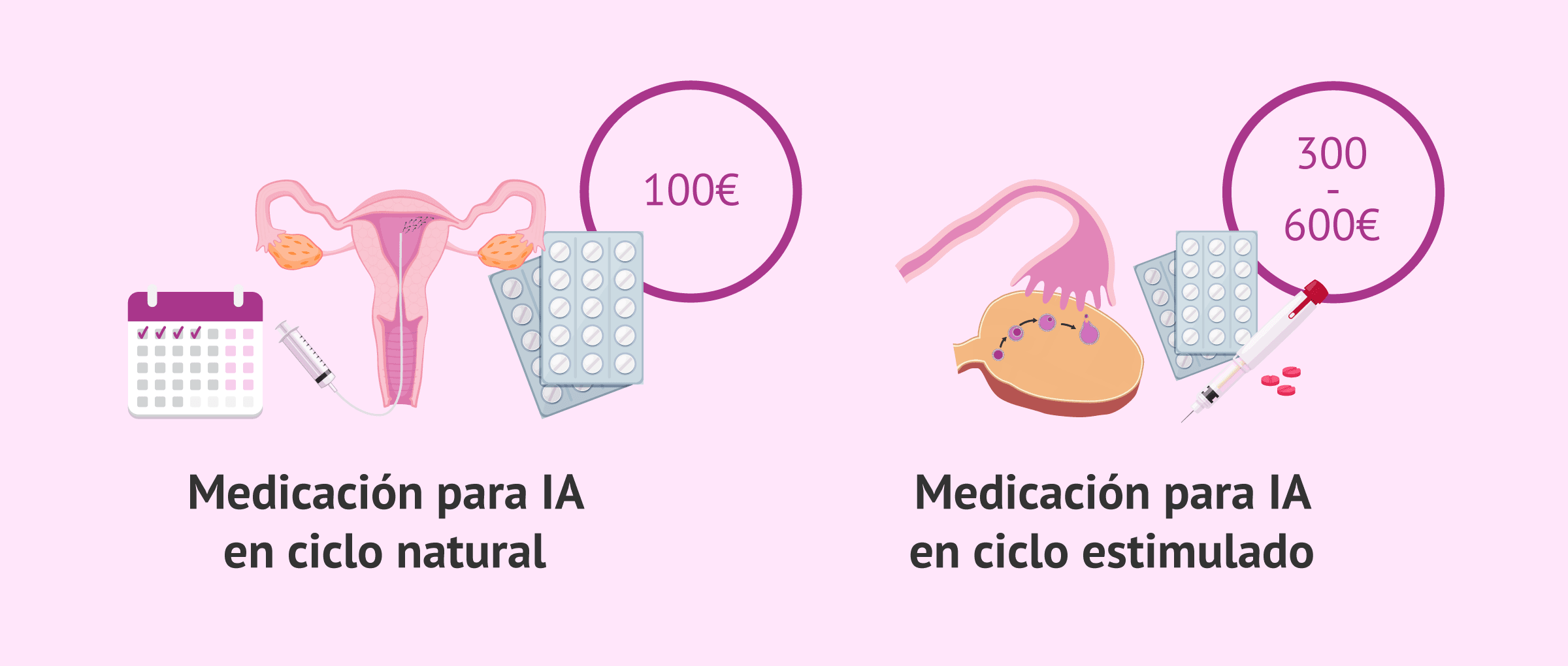 Blog 8 cuanto cuesta un ciclo