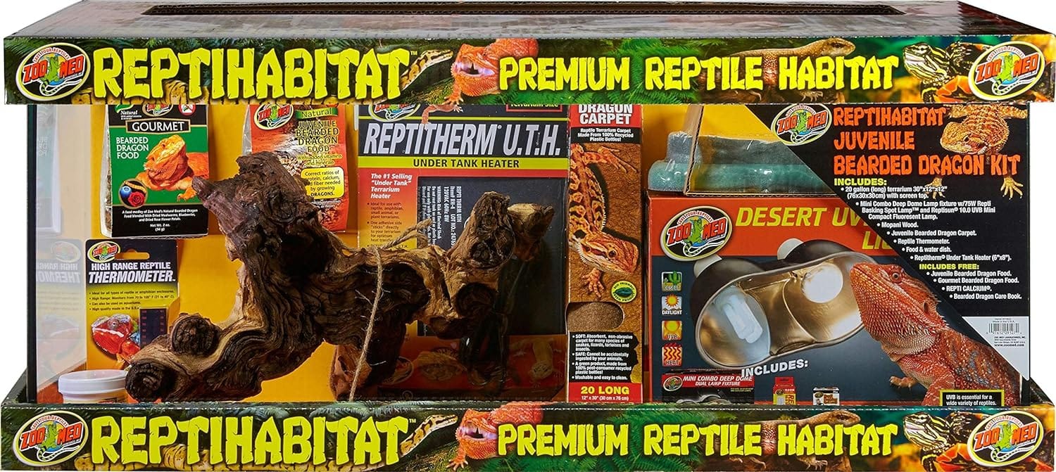 Blog 6 cuanto cuesta un dragon barbudo