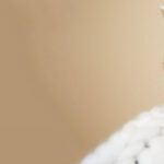 cuanto-cuesta-un-gato-atigrado