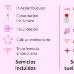 cuanto-cuesta-un-in-vitro