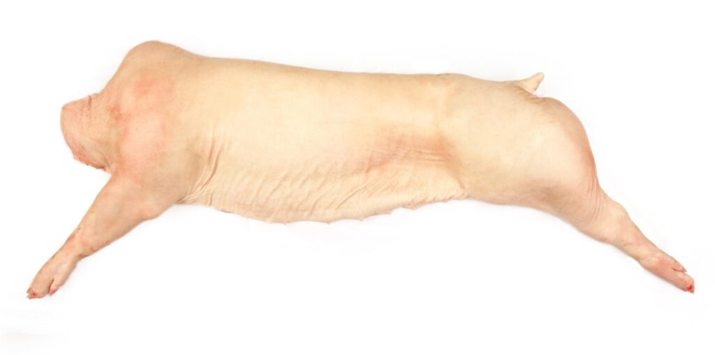 cuanto cuesta un lechon