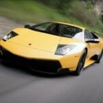 cuanto-cuesta-un-murcielago