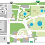 cuanto-cuesta-un-pajaro-tigrillo