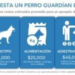 cuanto-cuesta-un-perro