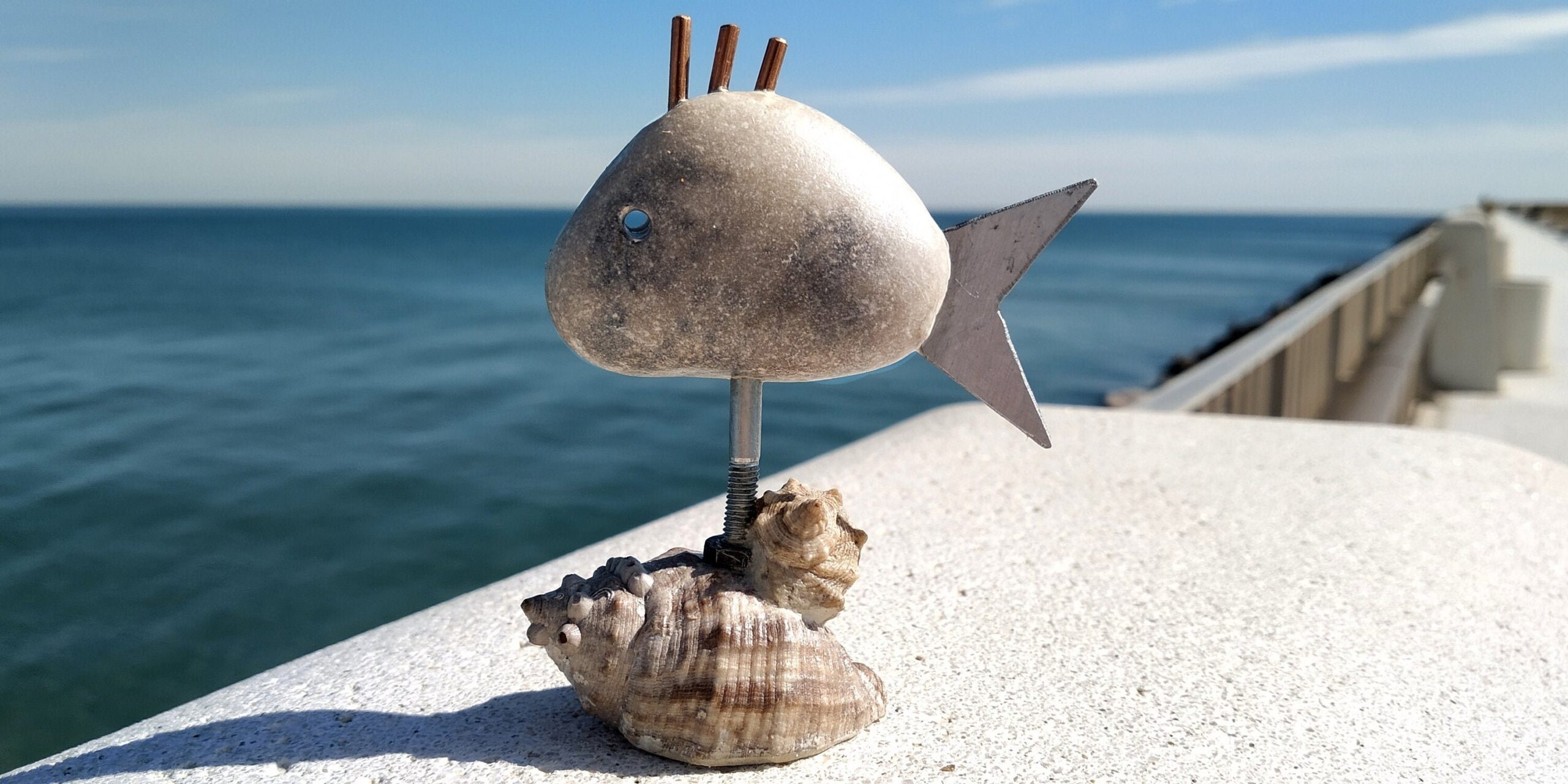 Blog 4 cuanto cuesta un pez payaso scaled