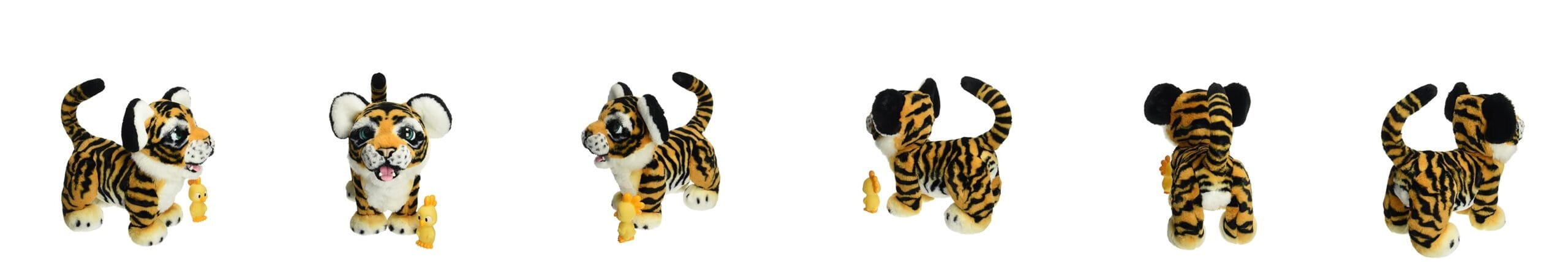 cuanto cuesta un tigre bebe scaled