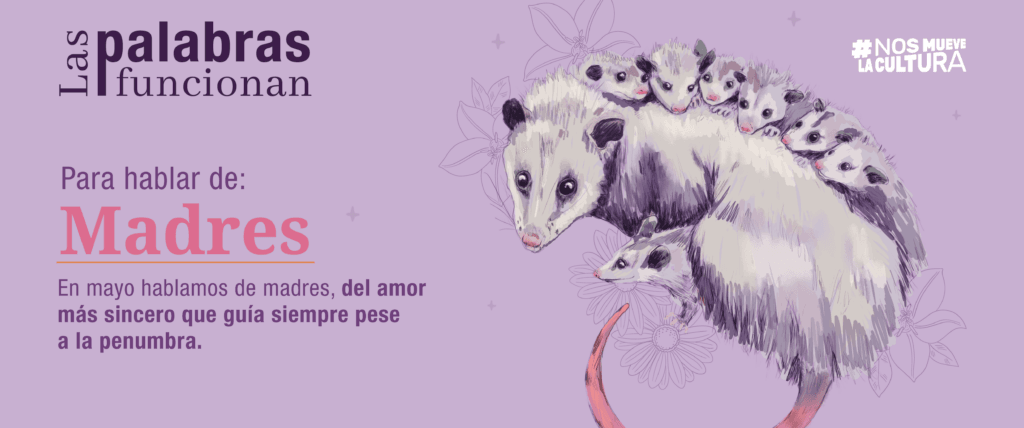cuanto cuesta un tlacuache vivo